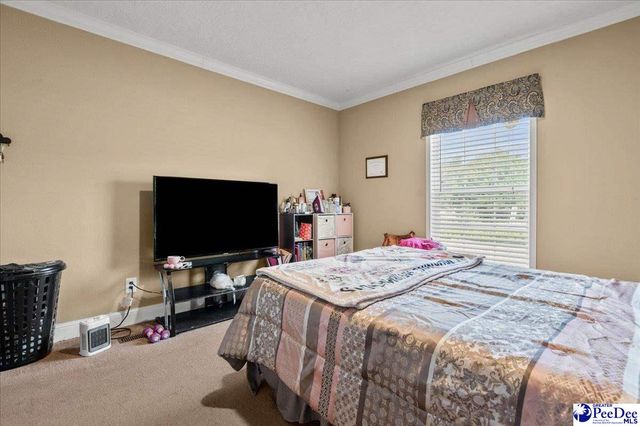 1831 Holly Bush Rd, Timmonsville, SC 29161