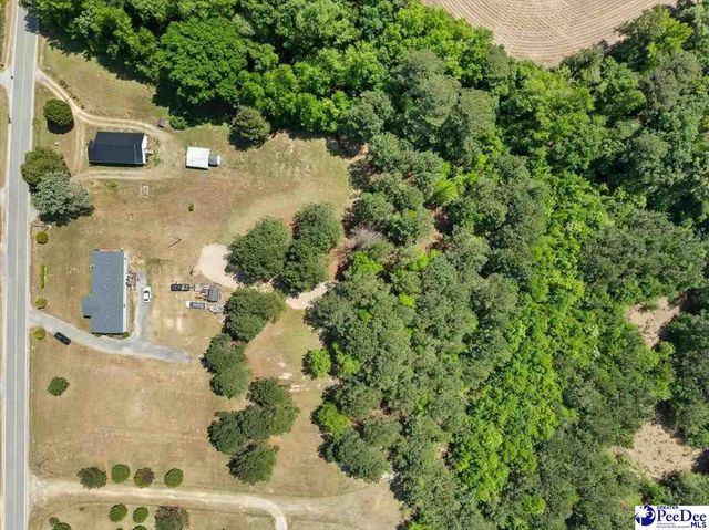 1831 Holly Bush Rd, Timmonsville, SC 29161