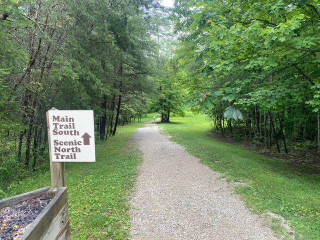 222 Muir Road, Rogers, KY 41365