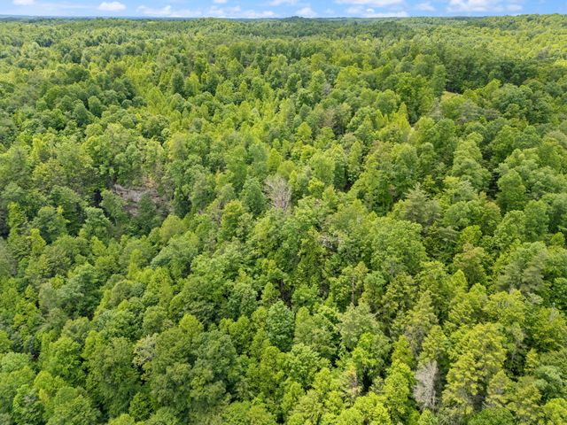 222 Muir Road, Rogers, KY 41365