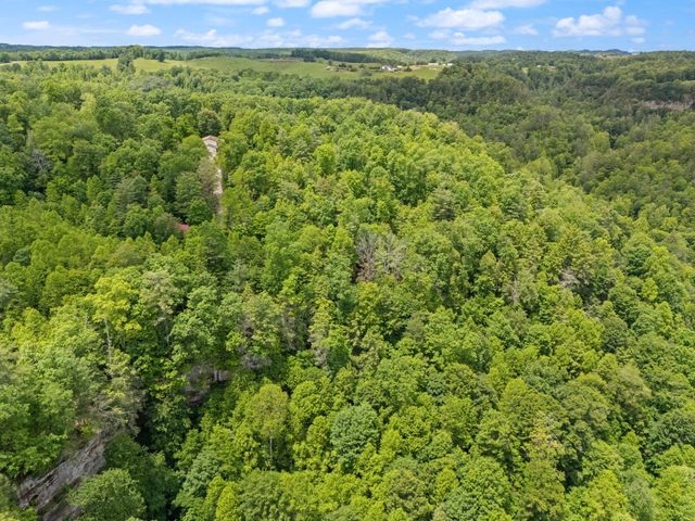 222 Muir Road, Rogers, KY 41365