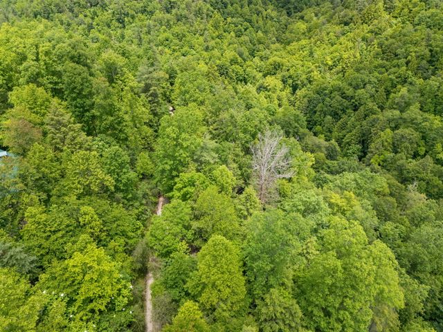 222 Muir Road, Rogers, KY 41365