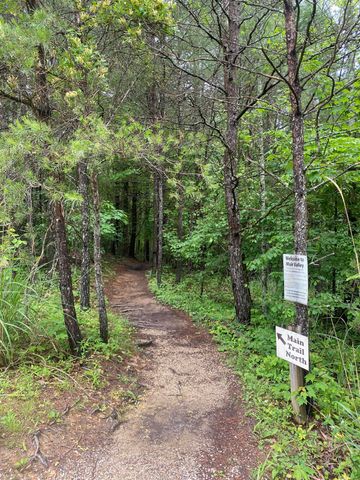 222 Muir Road, Rogers, KY 41365