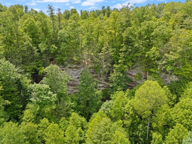 222 Muir Road, Rogers, KY 41365