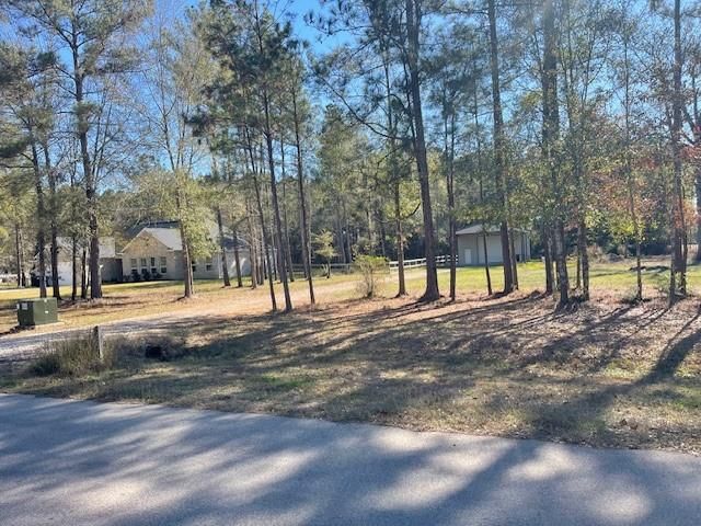 21202 Peach Wood, Cleveland, TX 77328