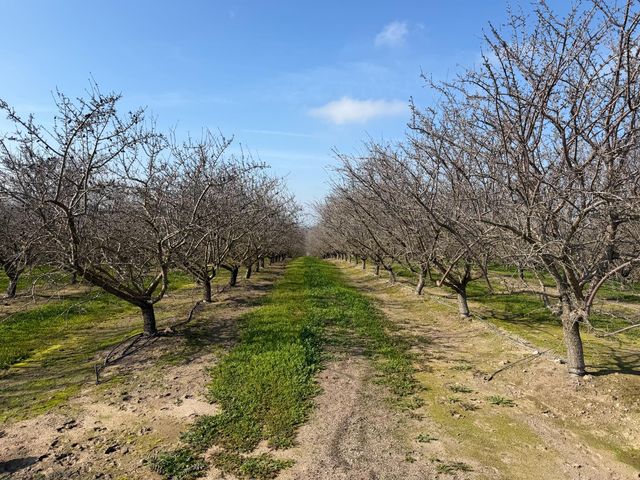 16501 28 Mile, Oakdale, CA 95361