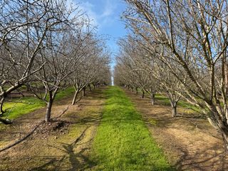 16501 28 Mile, Oakdale, CA 95361