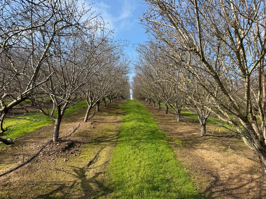 16501 28 Mile, Oakdale, CA 95361