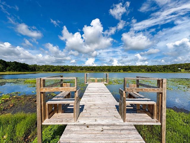 16758 SE 181ST TERRACE, Weirsdale, FL 32195