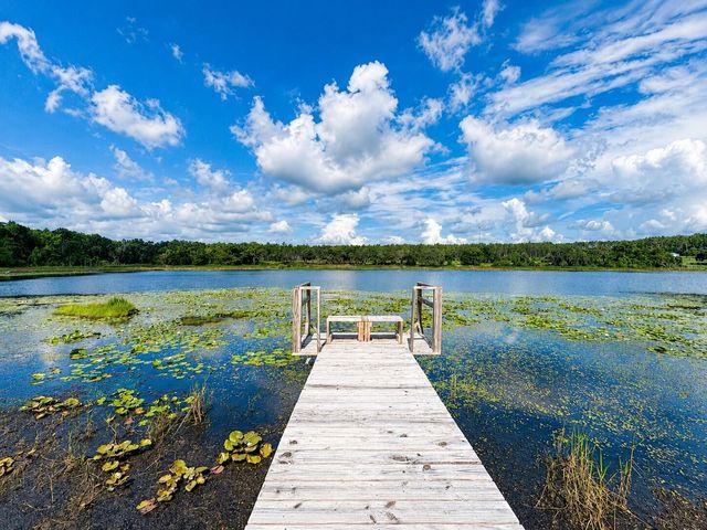16758 SE 181ST TERRACE, Weirsdale, FL 32195