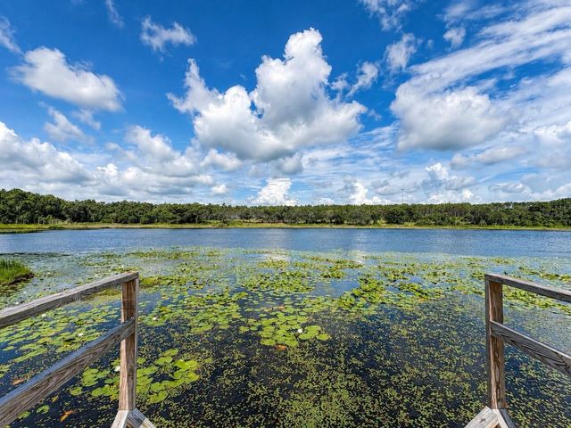 16758 SE 181ST TERRACE, Weirsdale, FL 32195