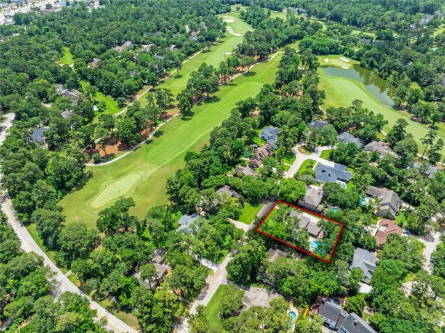 5 Box Turtle Lane, The Woodlands, TX 77380