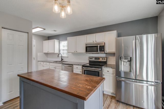 112 Wingspan Way, Chapin, SC 29036