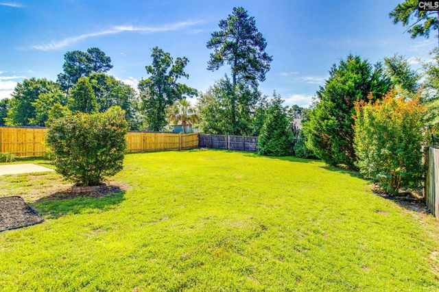 112 Wingspan Way, Chapin, SC 29036