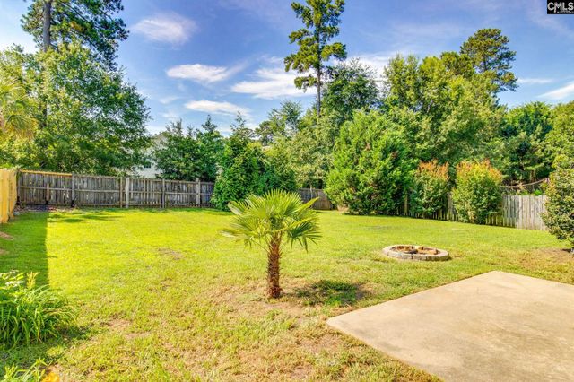 112 Wingspan Way, Chapin, SC 29036