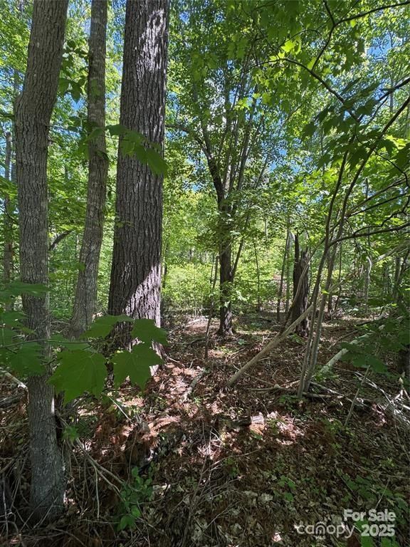 0 Creekwood Drive, Morganton, NC 28655