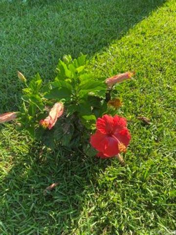 1212 Donaghey Ave., Conway, AR 72034