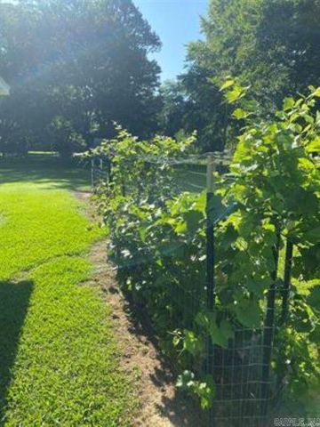 1212 Donaghey Ave., Conway, AR 72034