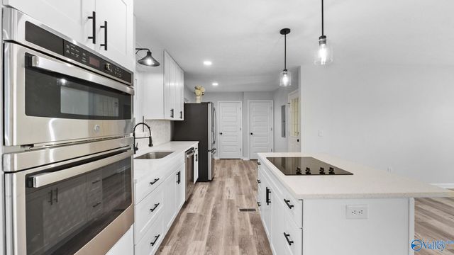 2055 Big Nose Drive, Centre, AL 35960
