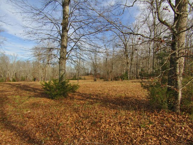 3199 Verona Caney Rd, Lewisburg, TN 37091