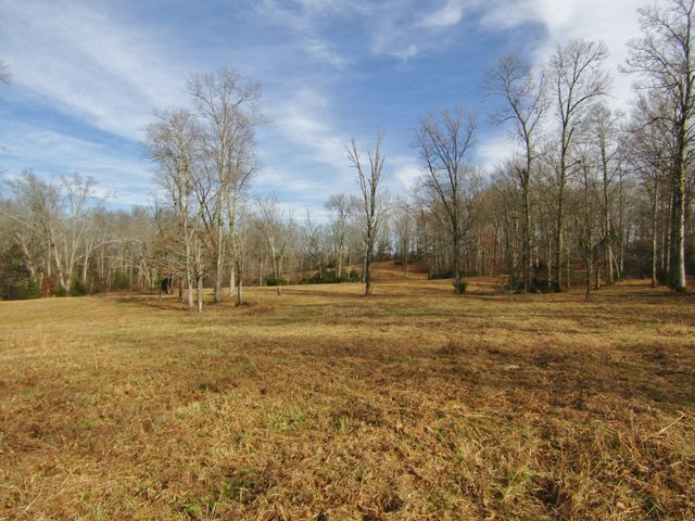 3199 Verona Caney Rd, Lewisburg, TN 37091