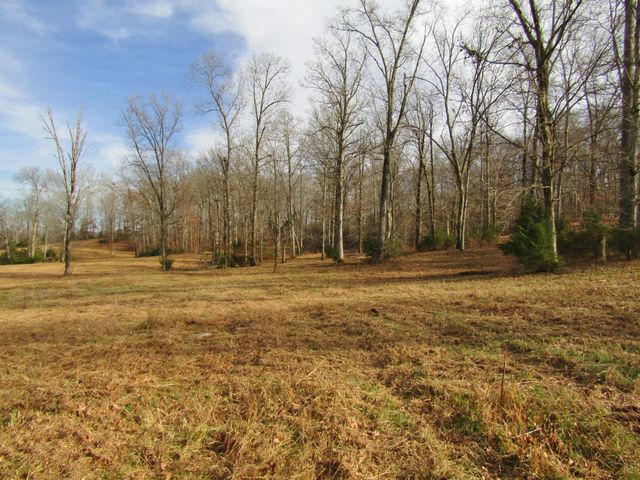 3199 Verona Caney Rd, Lewisburg, TN 37091