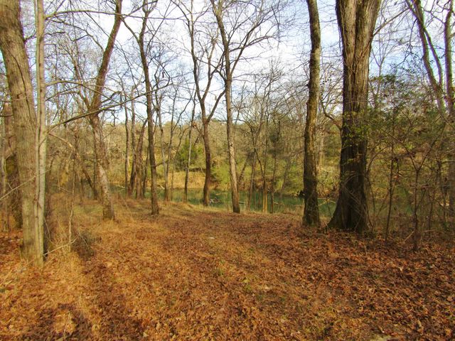 3199 Verona Caney Rd, Lewisburg, TN 37091