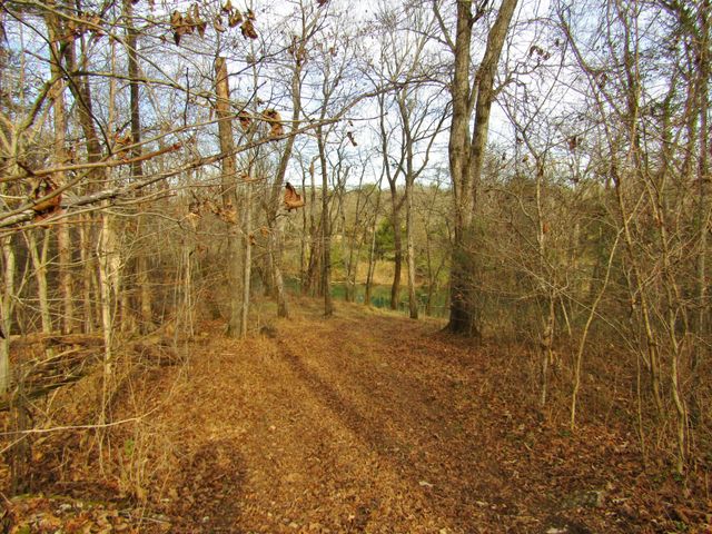 3199 Verona Caney Rd, Lewisburg, TN 37091