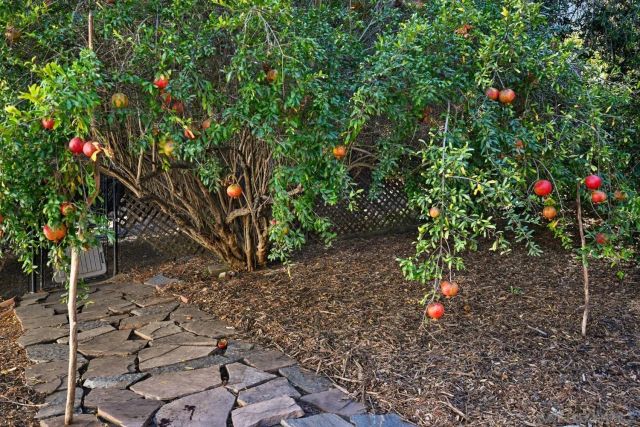 4488 La Canada, Fallbrook, CA 92028