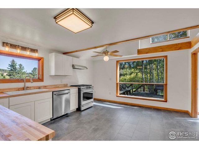 188 Ponderosa Way, Nederland, CO 80466