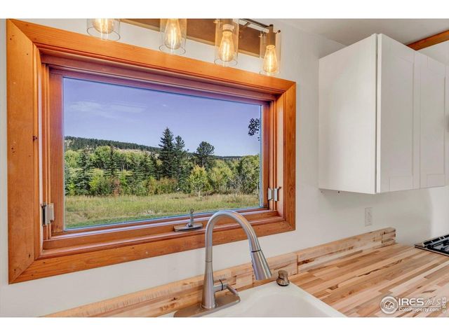 188 Ponderosa Way, Nederland, CO 80466