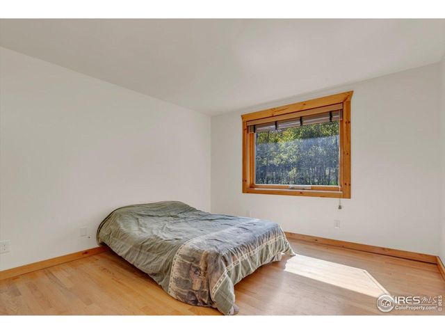 188 Ponderosa Way, Nederland, CO 80466