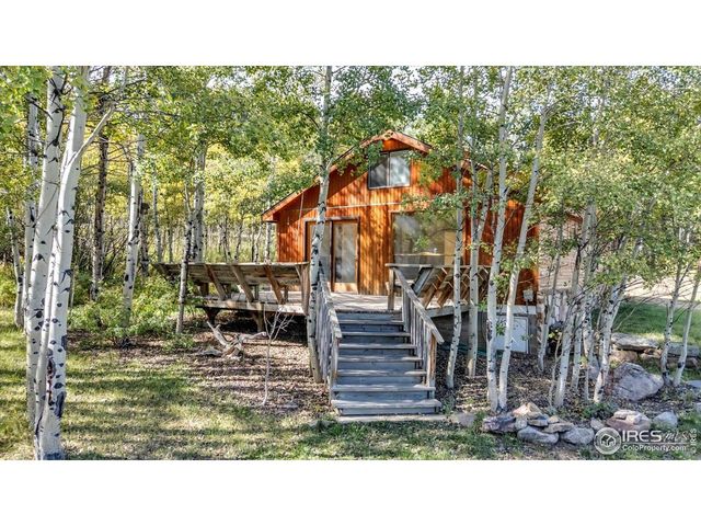 188 Ponderosa Way, Nederland, CO 80466