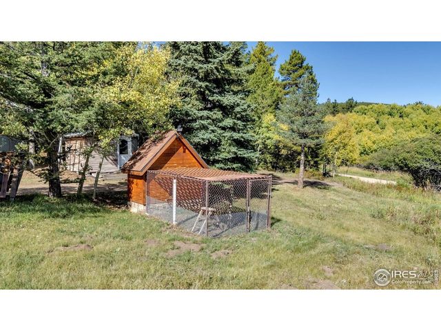 188 Ponderosa Way, Nederland, CO 80466