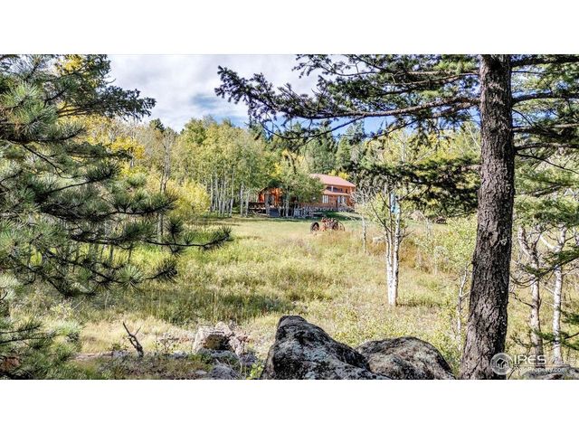 188 Ponderosa Way, Nederland, CO 80466