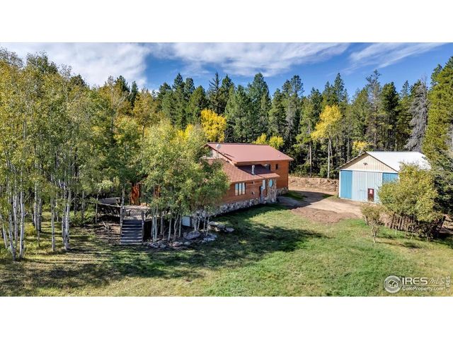 188 Ponderosa Way, Nederland, CO 80466