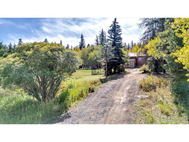 188 Ponderosa Way, Nederland, CO 80466