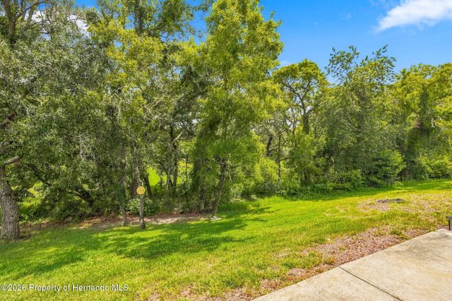 11090 Cherrywood Court, Spring Hill, FL 34609