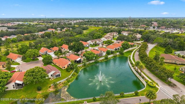 11090 Cherrywood Court, Spring Hill, FL 34609