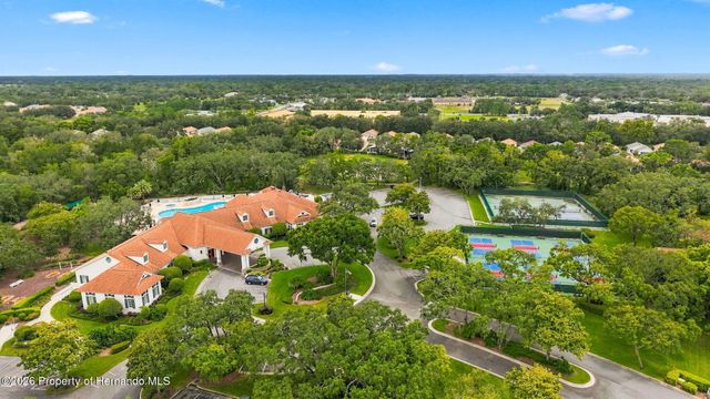 11090 Cherrywood Court, Spring Hill, FL 34609