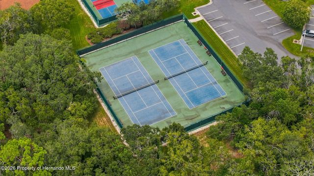 11090 Cherrywood Court, Spring Hill, FL 34609