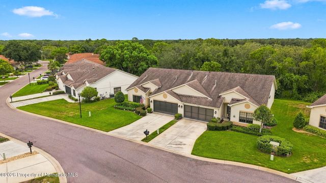 11090 Cherrywood Court, Spring Hill, FL 34609