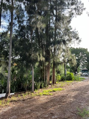 14633 WILLIAMS LANE, Hudson, FL 34667