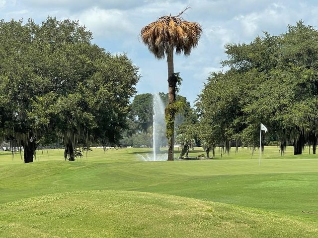 415 S TIMBER TRAIL, Wildwood, FL 34785