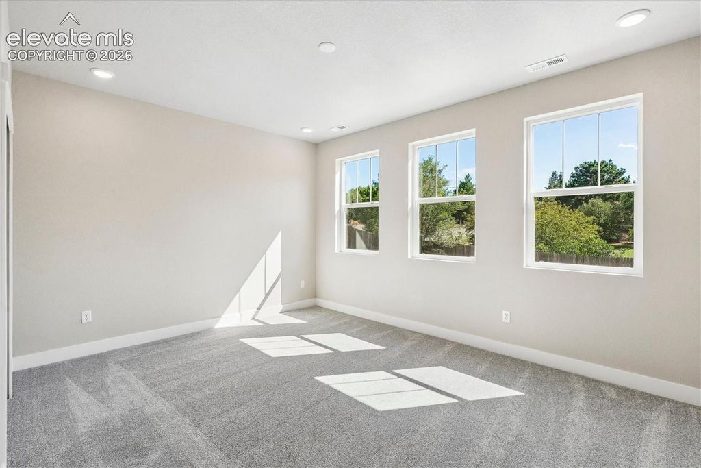 3023 Curly Grove, Colorado Springs, CO 80922 — photo 5