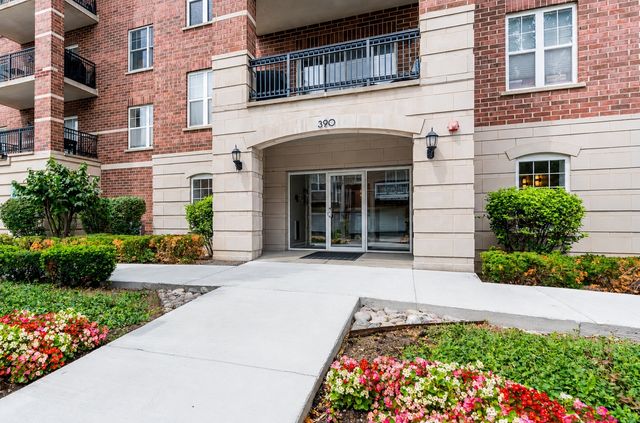 390 W Mahogany Court 503, Palatine, IL 60067
