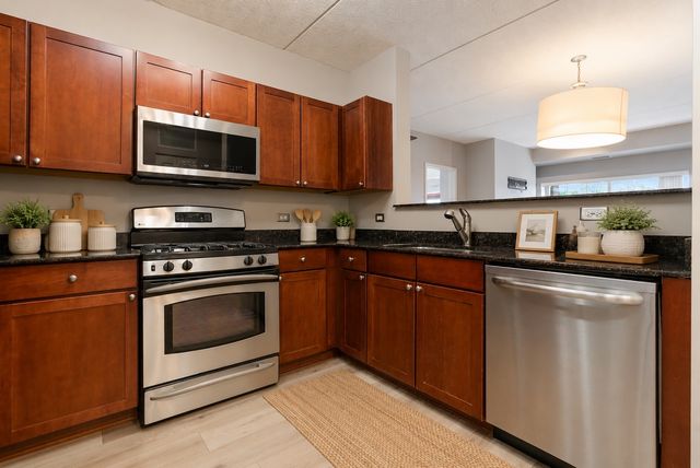 390 W Mahogany Court 503, Palatine, IL 60067