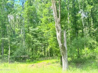 Stout Meadows Lane, Madison, MS 39110
