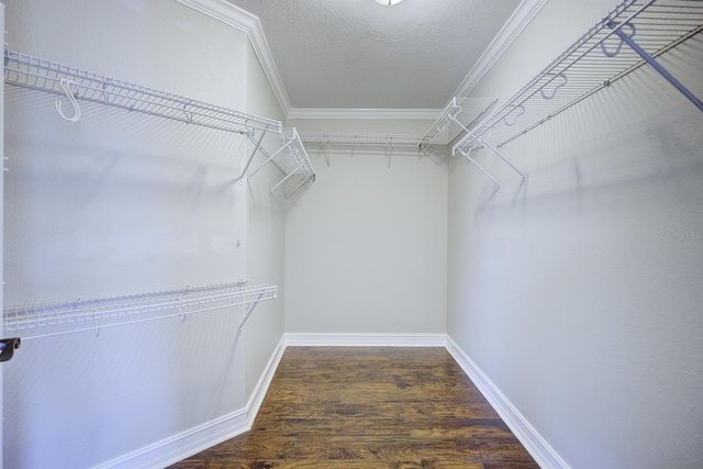 7508 HUNTERS GREENE CIRCLE, Lakeland, FL 33810