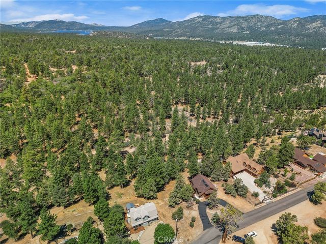 298 Dixie Lee Lane, Big Bear Lake, CA 92386